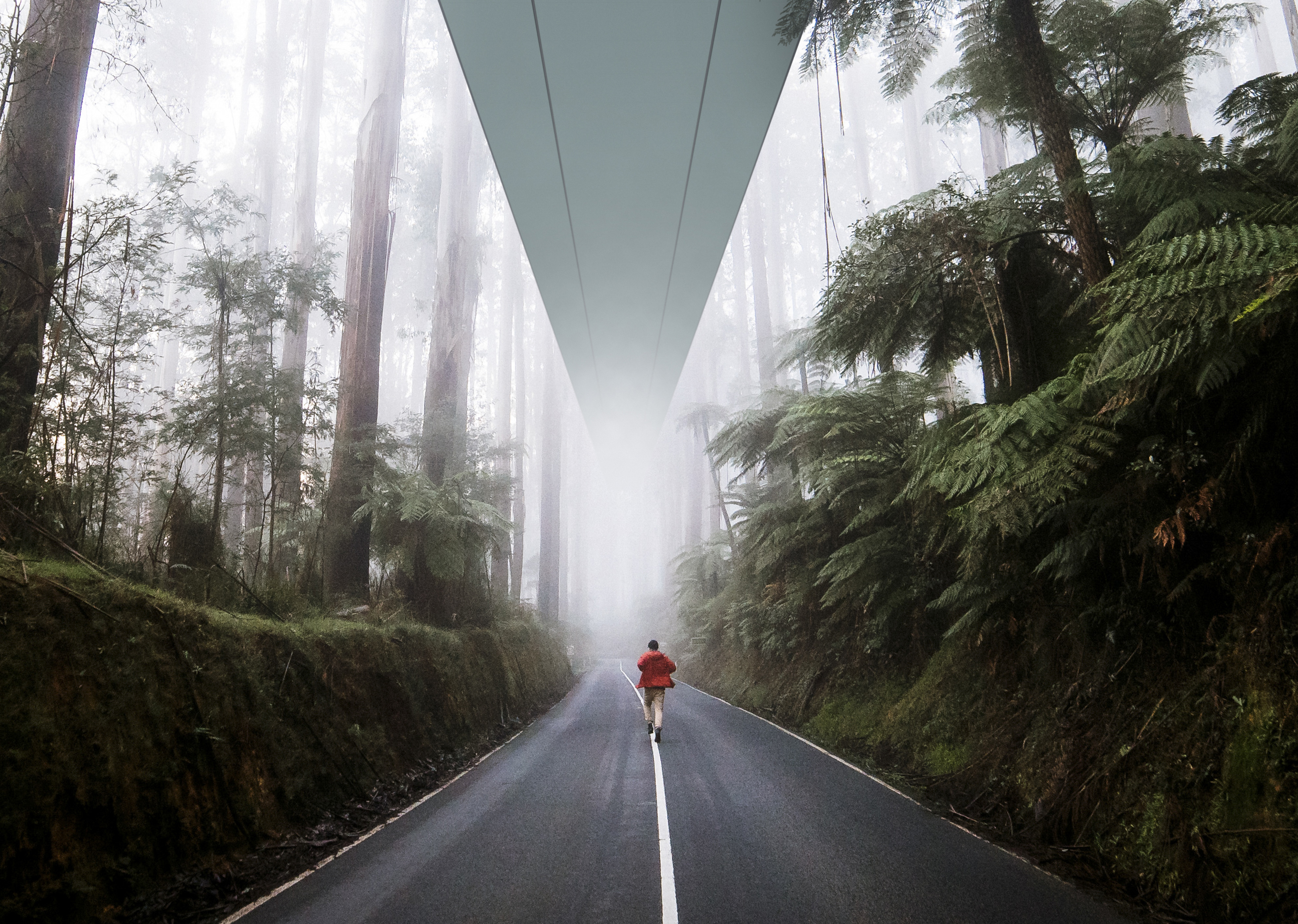 Acoustic ceiling in forest environment
