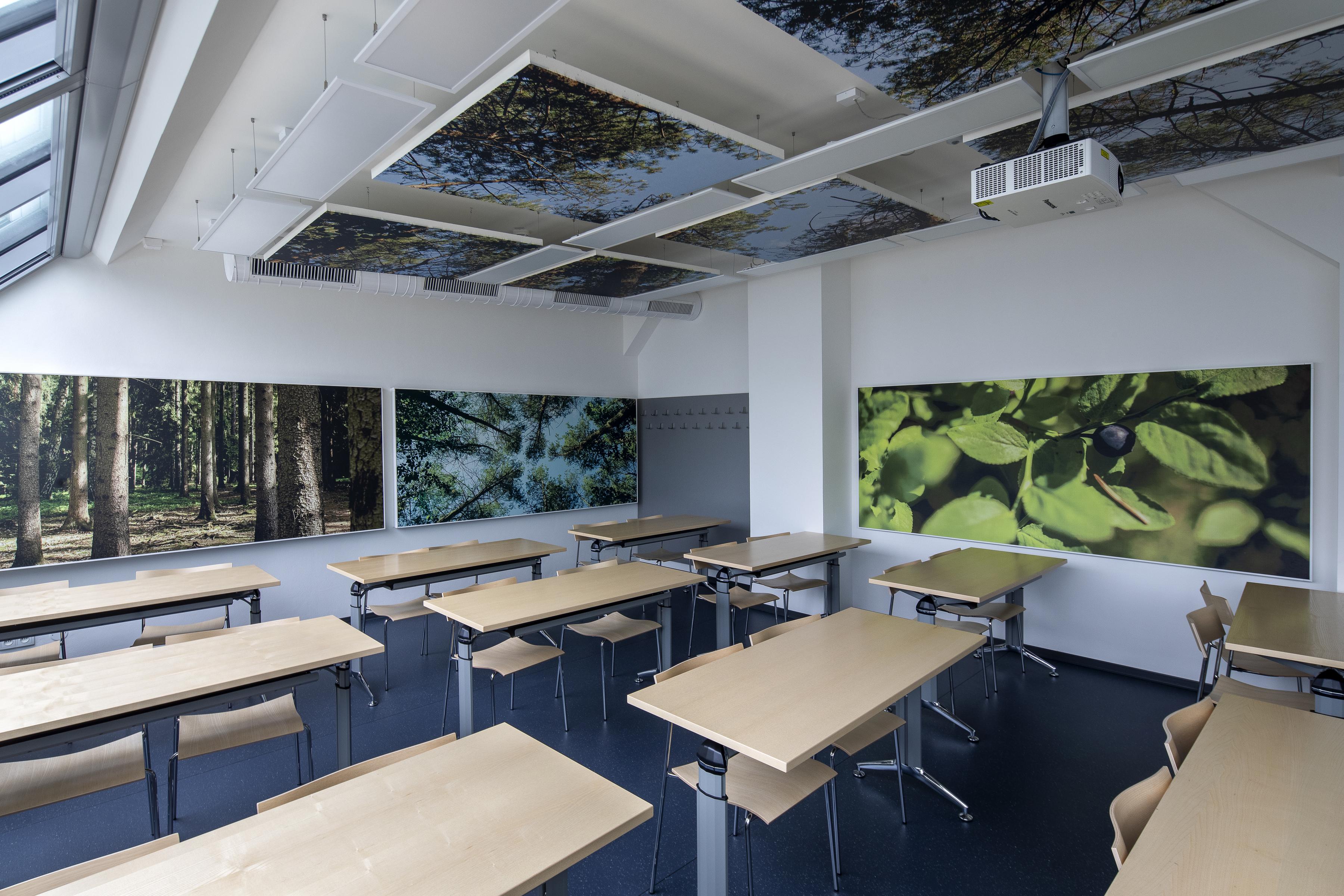 Printed, free-hanging acoustic ceiling panels and wall panels in classroom