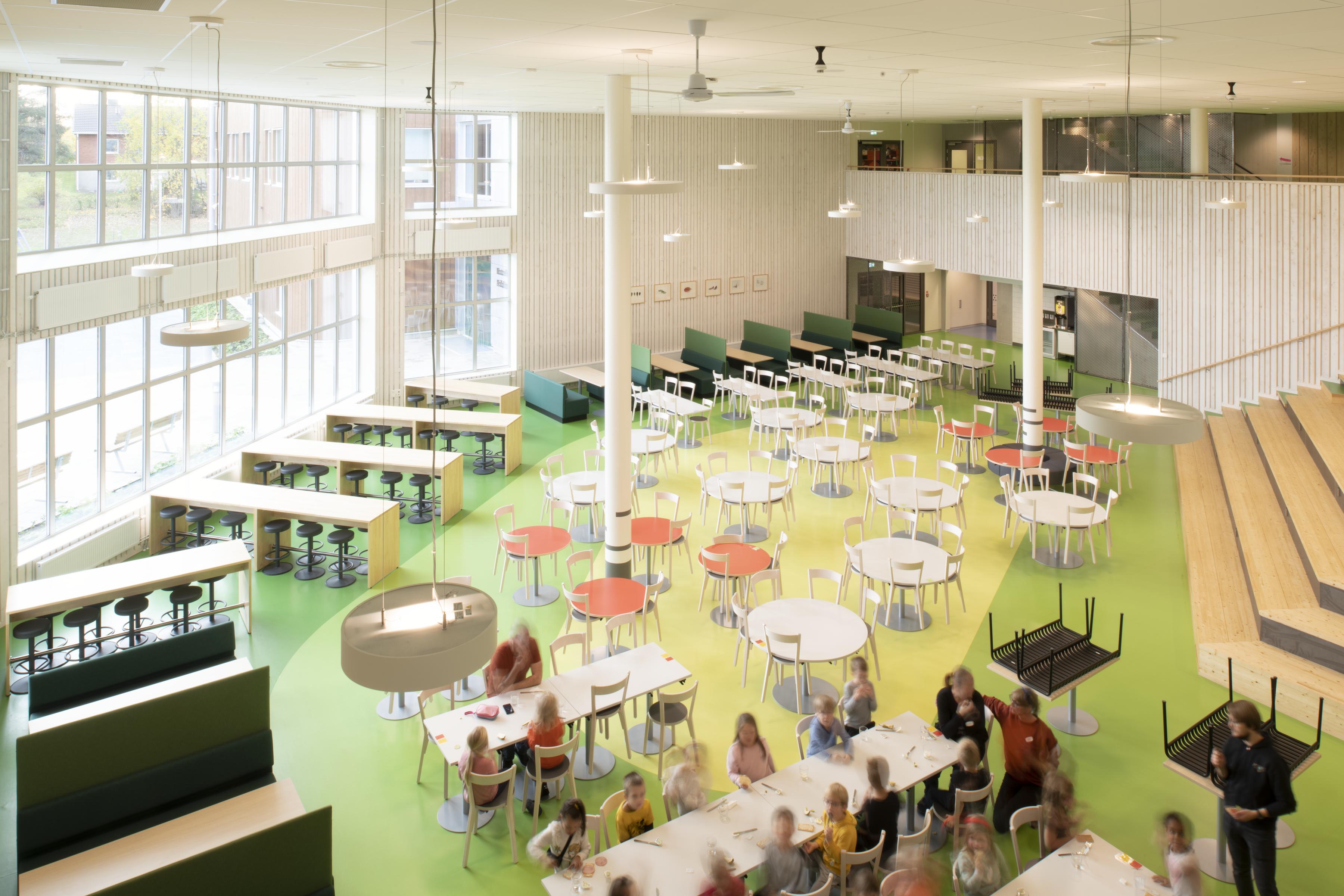 Suspended acoustic ceiling in large auditorium and dining area
