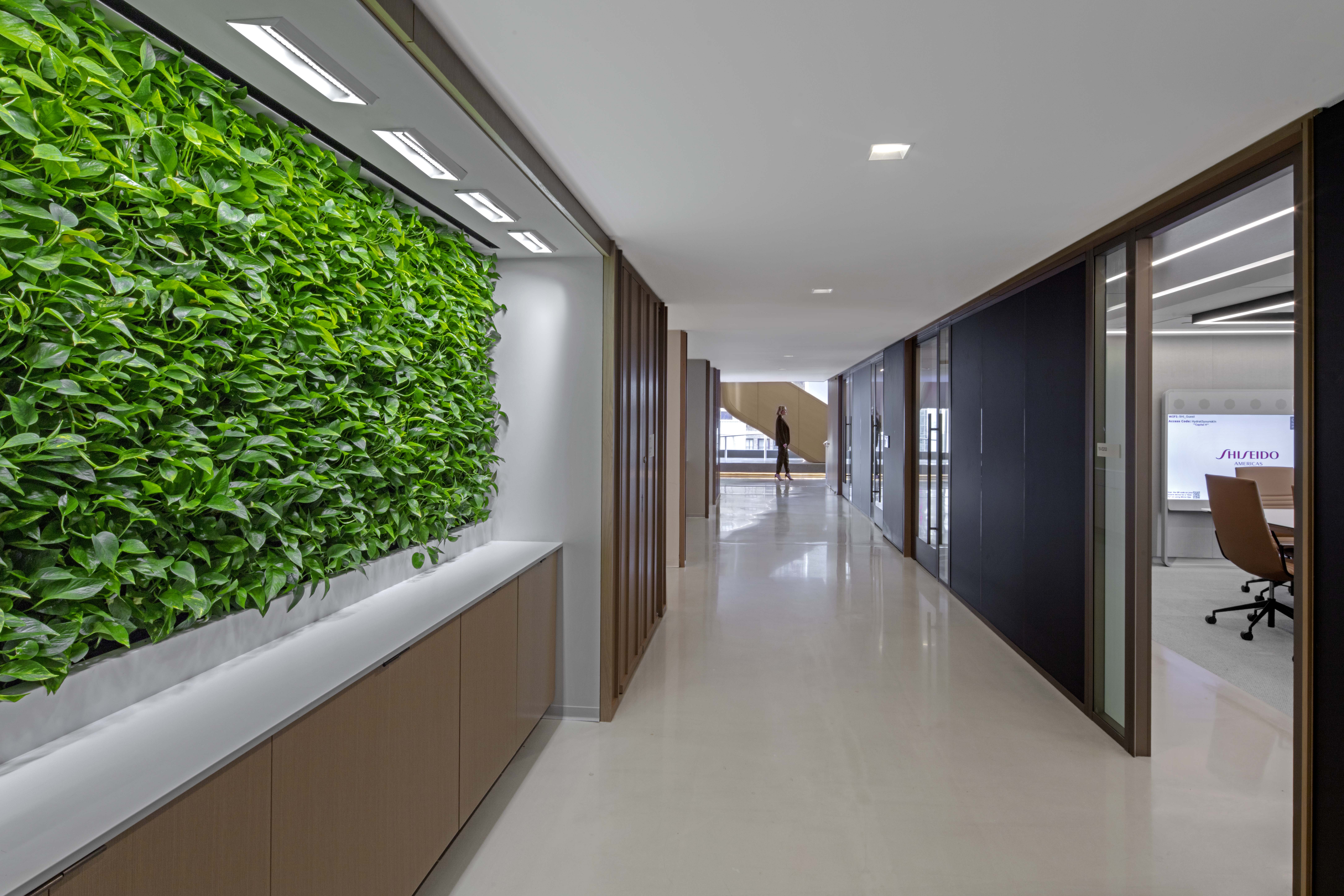 Biophilic Design im Büro