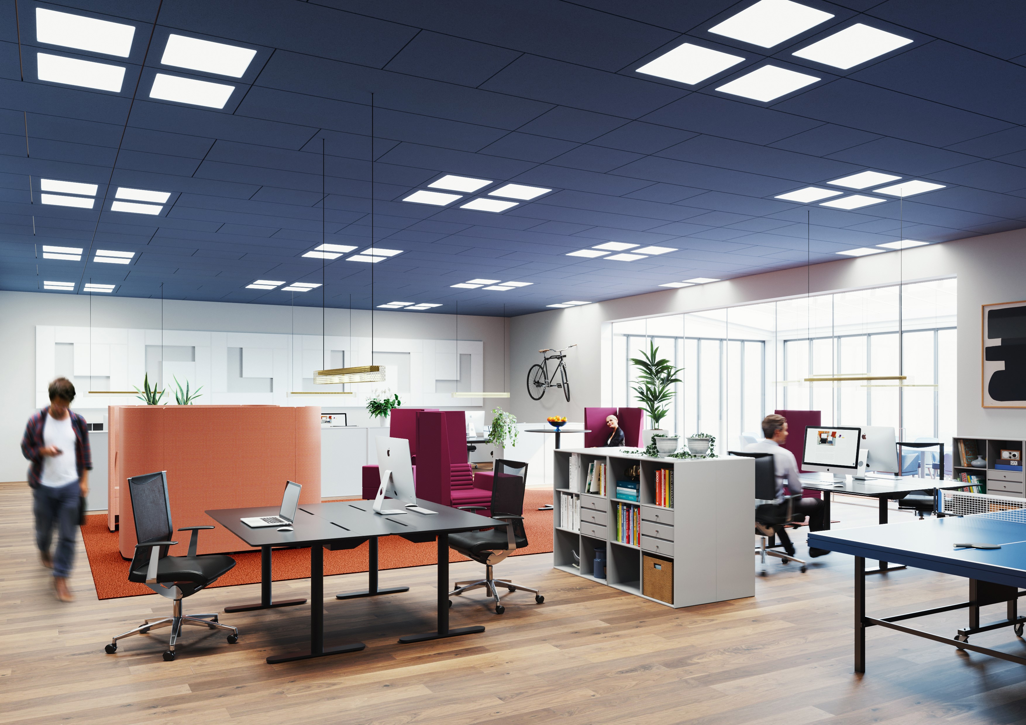 Open plan office with blue suspended acoustic ceiling