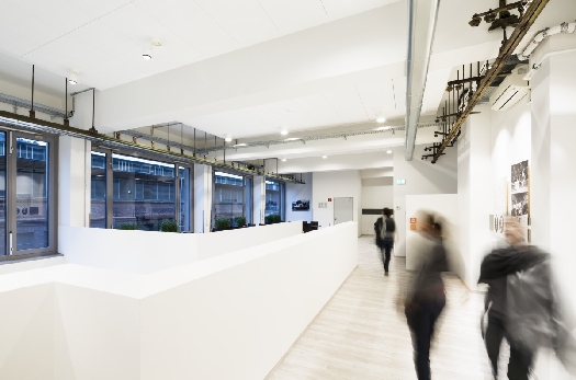 Direktbefestigung: Deckenplatten zum Kleben von Ecophon