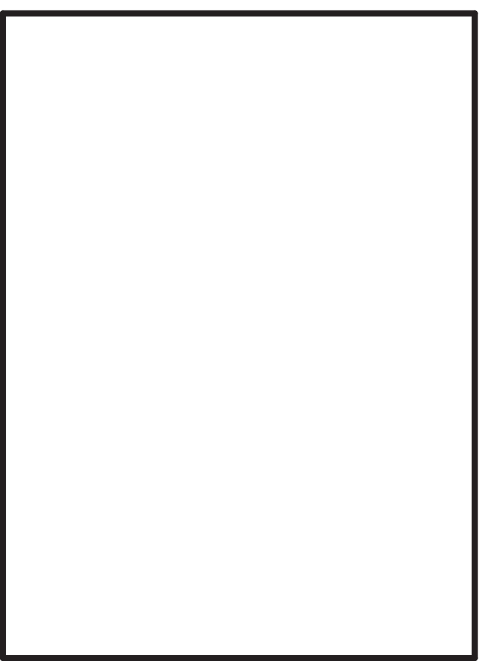 Solo_Rectangle_shape_vert