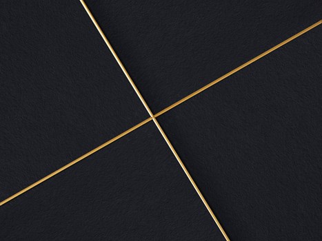 Focus Dt system, Dark Diamond & gold
