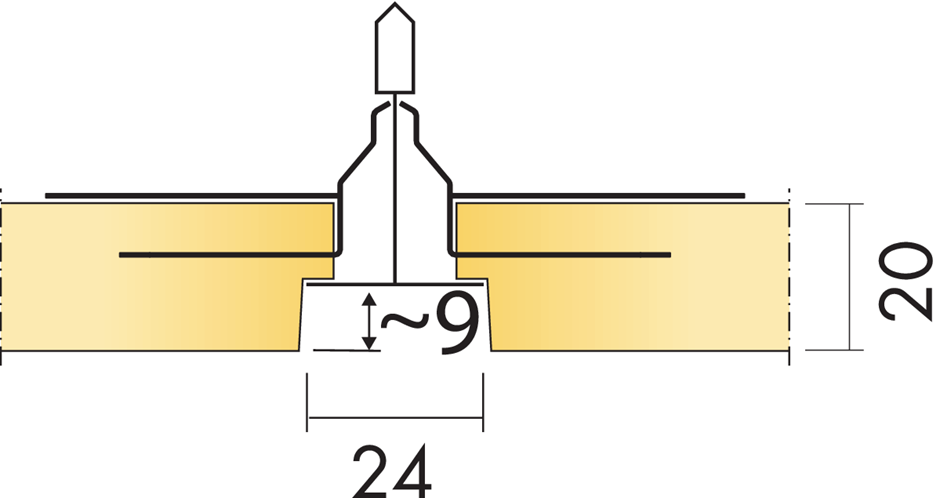 Master Rigid_e_ic_edge