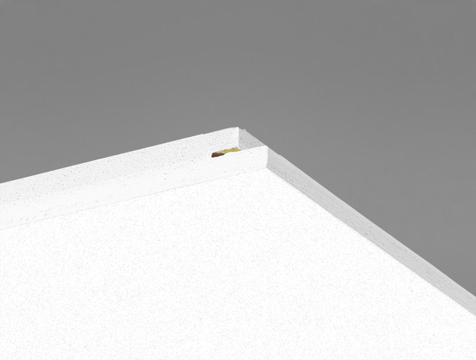 Access frieze plade
